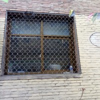朋英 直供大量现货 防盗窗美格网 美格网铝网 铝合金美格网 防盗窗