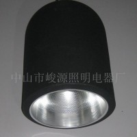 供应非标工程吸顶灯.吊灯(图)