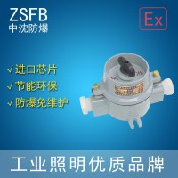 中沈防爆SWB 防爆照明开关SWB-10A/220V380v济源那里有双控开关 控制防爆吸顶灯灯 的防爆开关